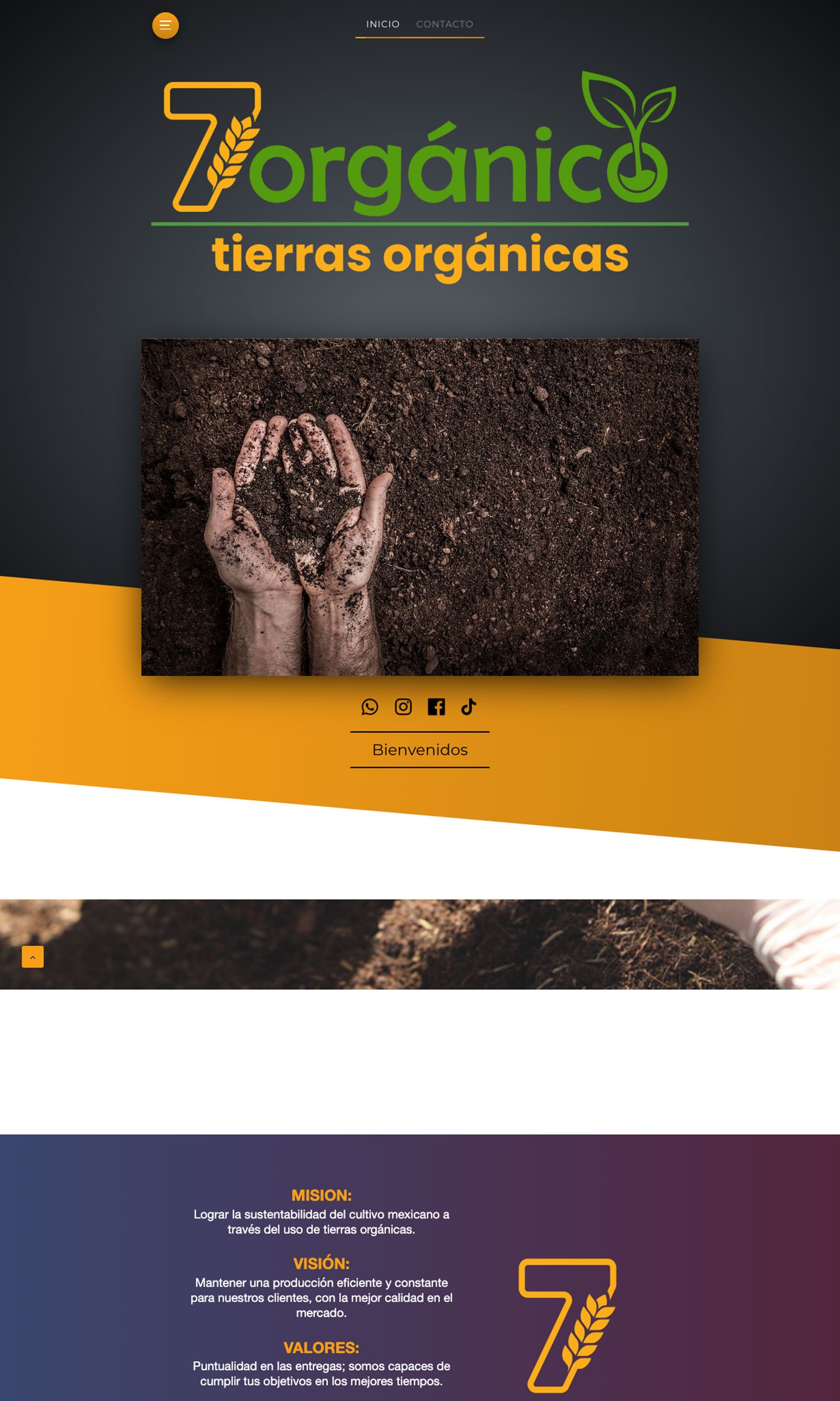  Sitio Web: 7 Orgánico 